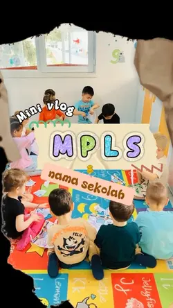 Mini vlog mpls