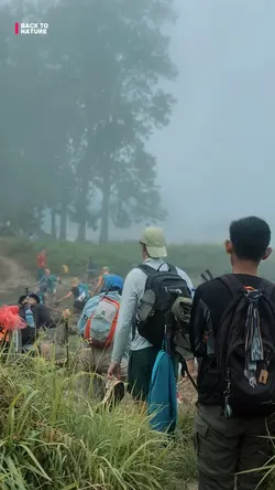 CINEMATIC NATURE