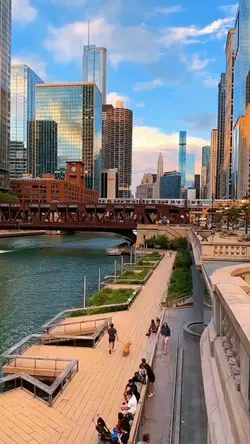 CITY VIBES 