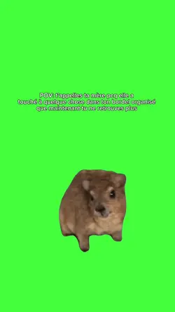 mamaaaa