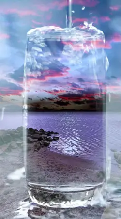 Nature in glass 