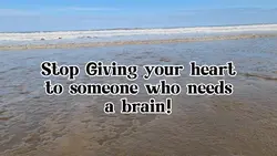 Needs a Brain