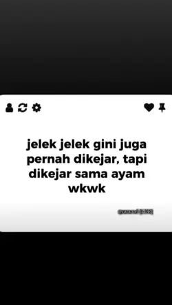 dikejar ayam wk