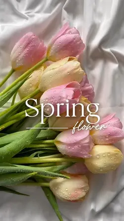 Spring Flower 🌷