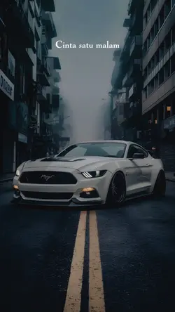 Cinta Satu Malam