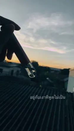 โดดเดี่ยวกับความเหงา