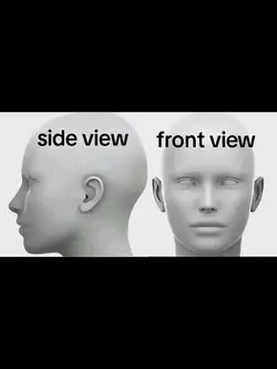 side and front view