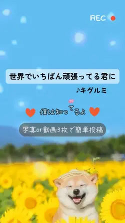 世界でいちばん頑張ってる君に／キグルミ