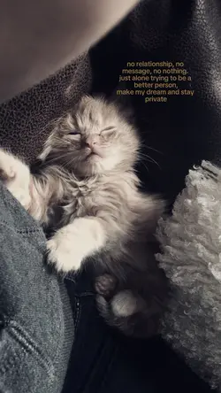 💕