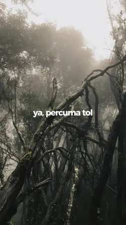 ya percuma tol