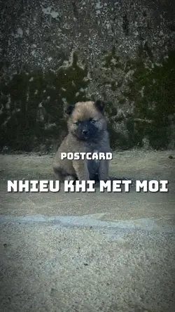 Mẫu posrcard