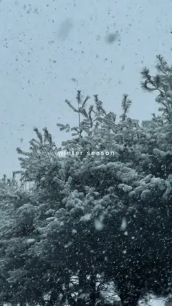 winter season