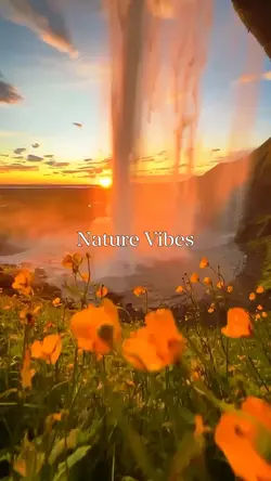 Nature Vibes