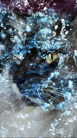 Water Splash
