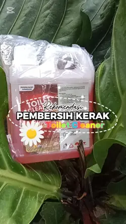 Pembersih kerak