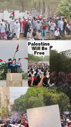 Free Free Palestine 