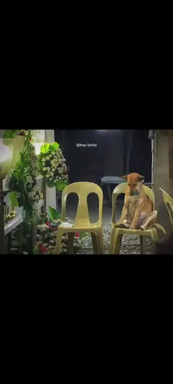 Kabilang Buhay