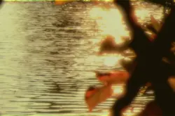 dreamy vid CapCut template