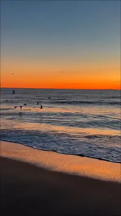 SLOWMO BEACH SUNSET