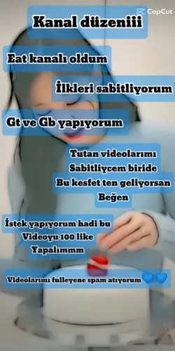 Kanal düzeni