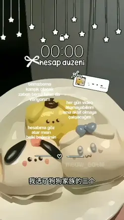 hesap düzeni