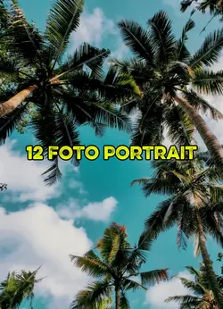 12 foto portrait