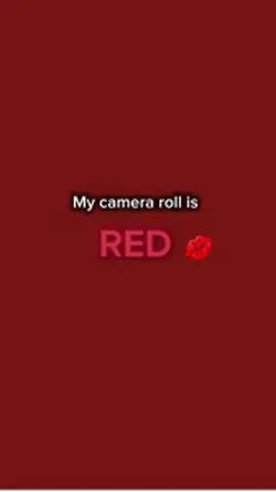 Camera Roll 📸 