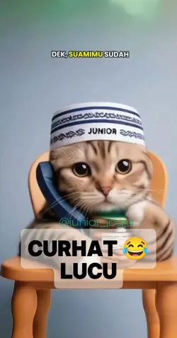 curhatan kucing