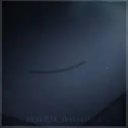 numb little bug