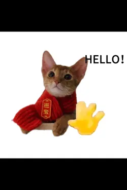 hello!!