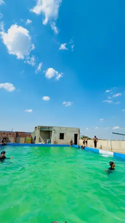Swimming template 