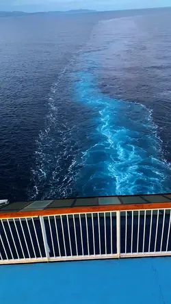Bateau 😍