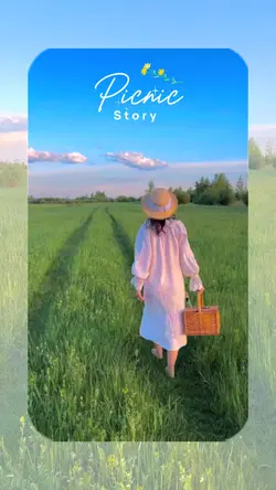 PICNIC STORY 