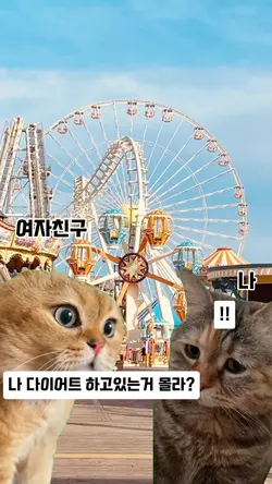 요즘 유행하는 고양이 밈