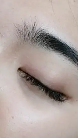 Classic Lash Extnsn