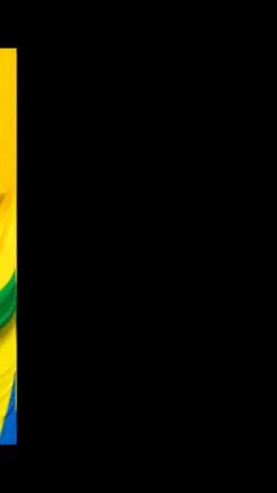 Brazil grils