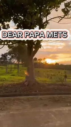 DEAR PAPA METS 