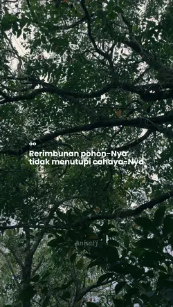 Quotes