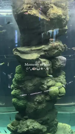 moments of june