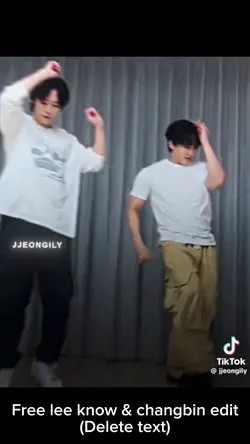 Skz edit
