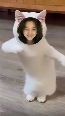 Chinese cat dancing