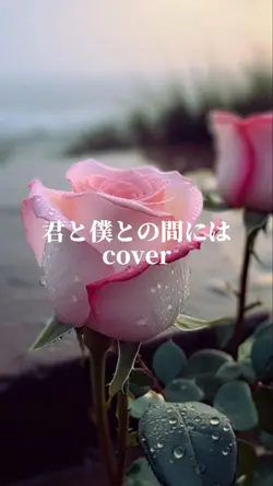 CapCat 君と僕との間にはcover