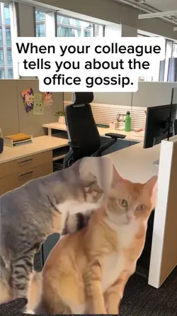 Office gossip meme