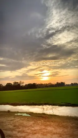 សេដ😫