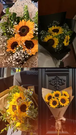 My favorite 🌻😭