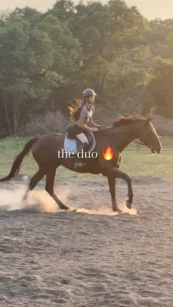 the rider, the horse
