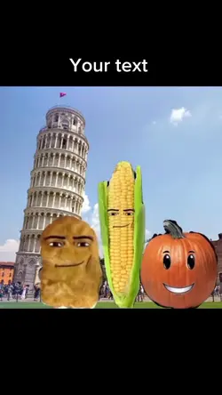 funny meme video 