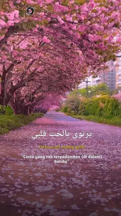 يانبي سلام عليكَ