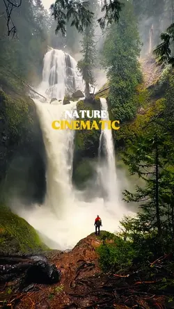 Nature cinematic 
