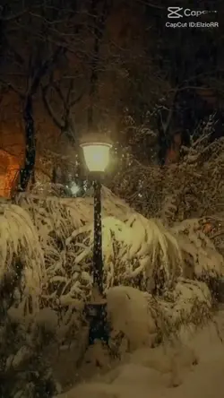 5정3 